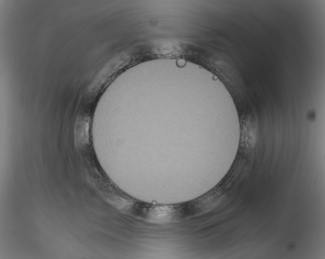 X0000114520717200911301116