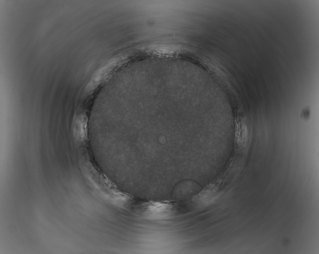 X0000114520718200911301116