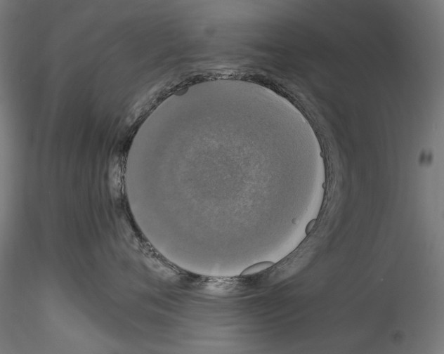 X0000114520720200911301116