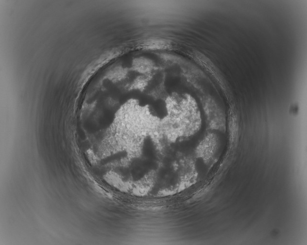 X0000114520721200911301115