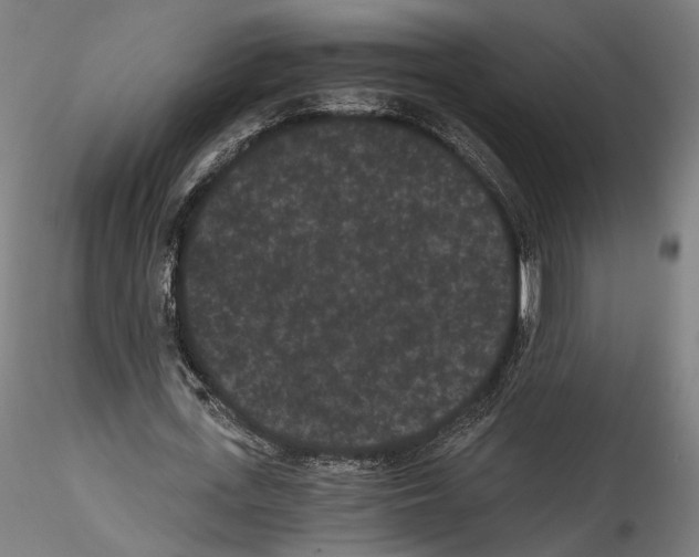 X0000114520723200911301115