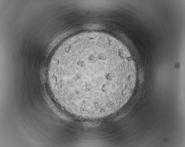 X0000114520725200911301115