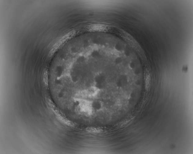 X0000114520729200911301115