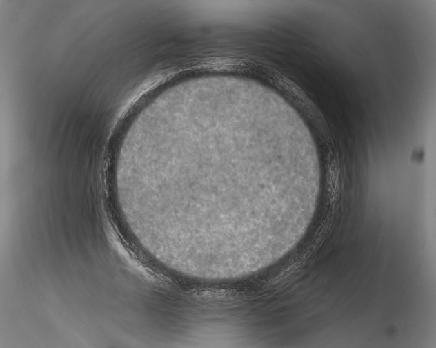 X0000114520730200911301115