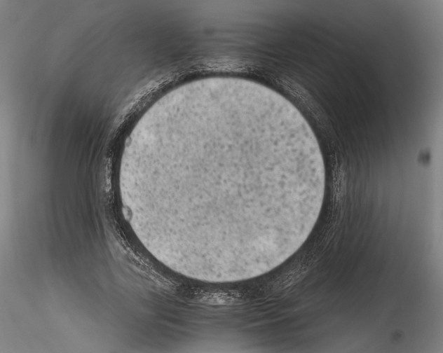 X0000114520731200911301115