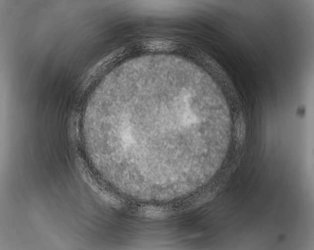 X0000114520733200911301115