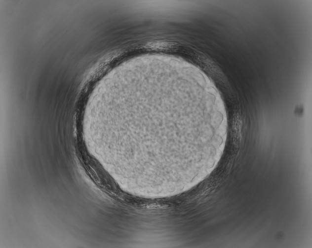 X0000114520734200911301115