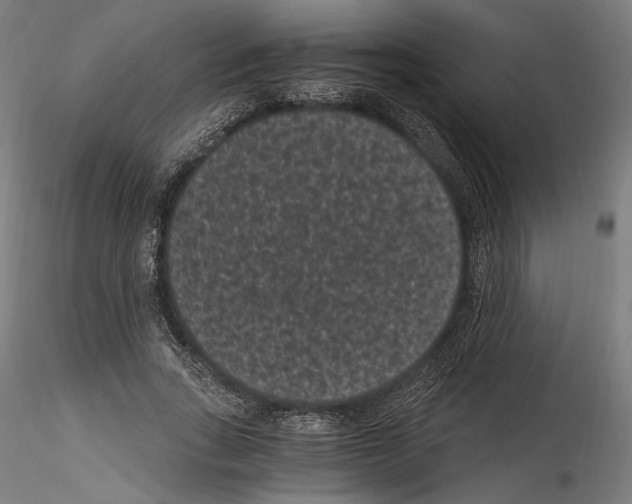 X0000114520735200911301116