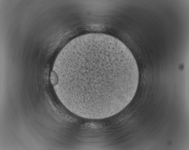 X0000114520739200911301116