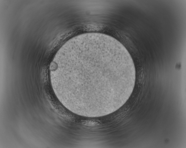 X0000114520743200911301116