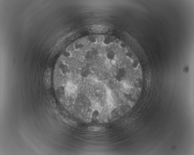 X0000114520745200911301116