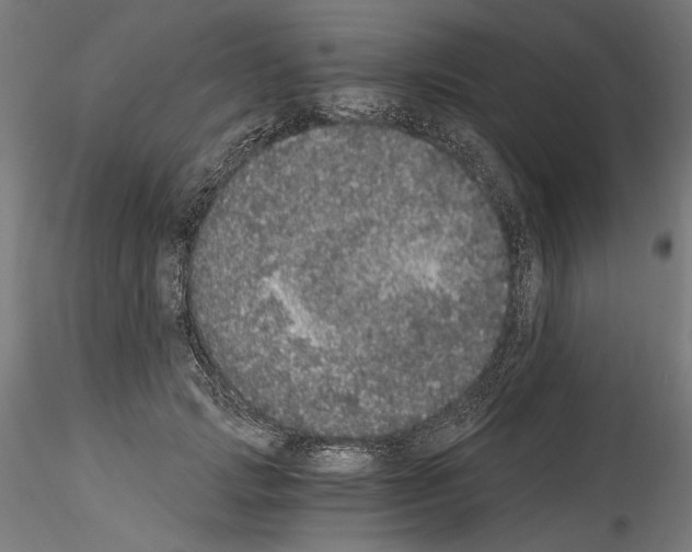 X0000114520749200911301116