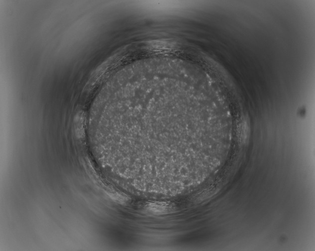 X0000114520757200911301116