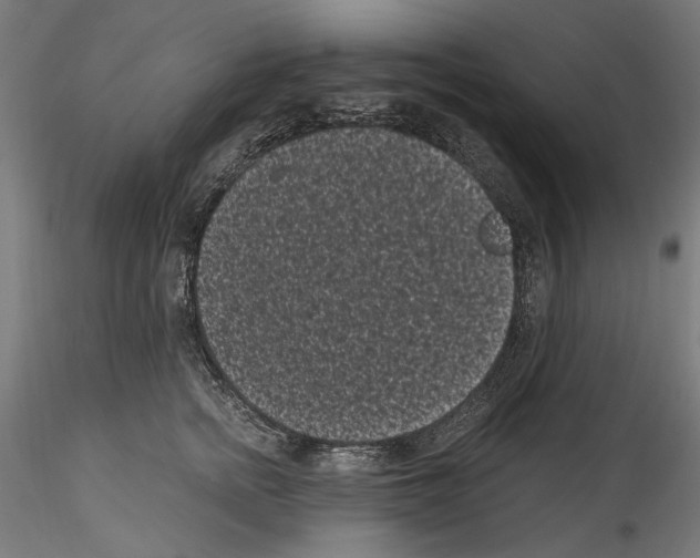 X0000114520758200911301116