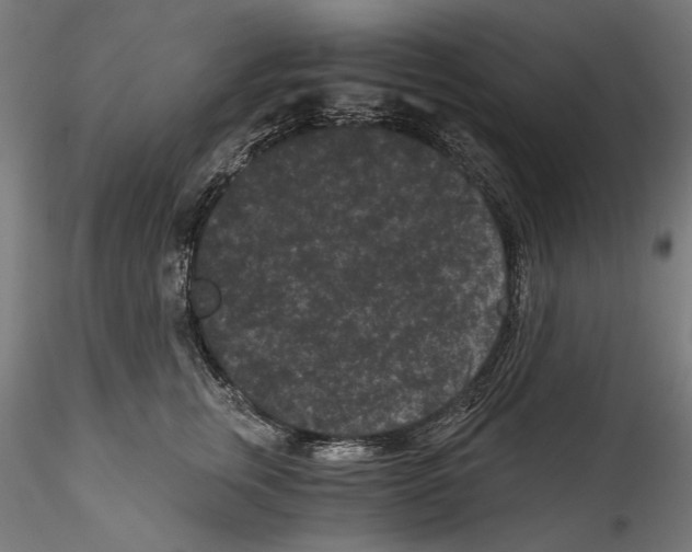 X0000114520759200911301116