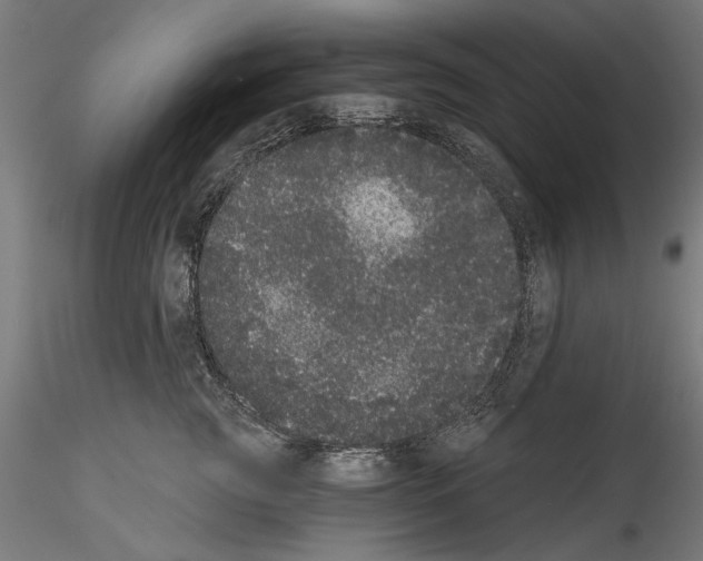 X0000114520761200911301116