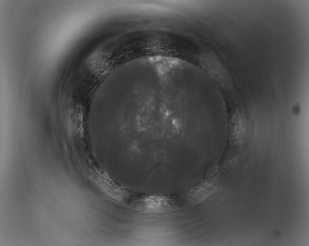 X0000114520762200911301116