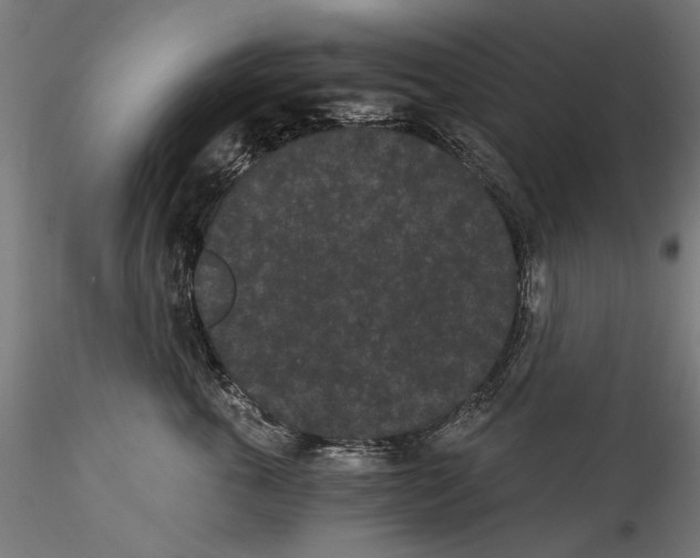 X0000114520763200911301116