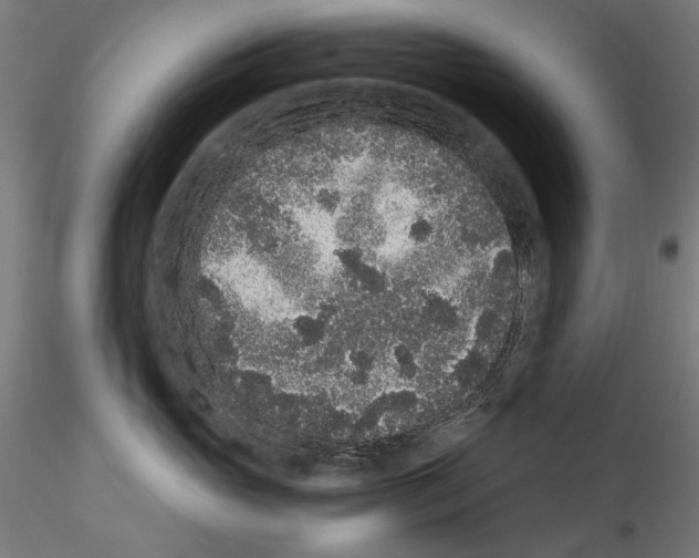 X0000114520765200911301116