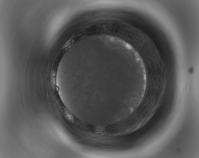 X0000114520766200911301116