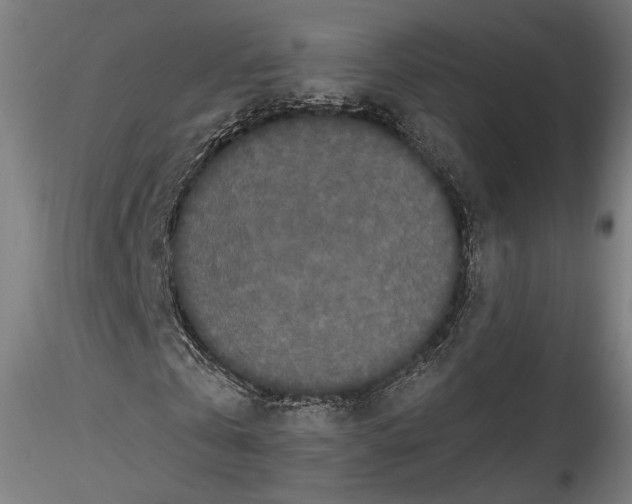 X0000114520769200911301115