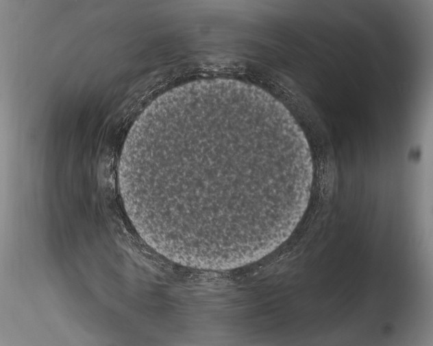 X0000114520770200911301115