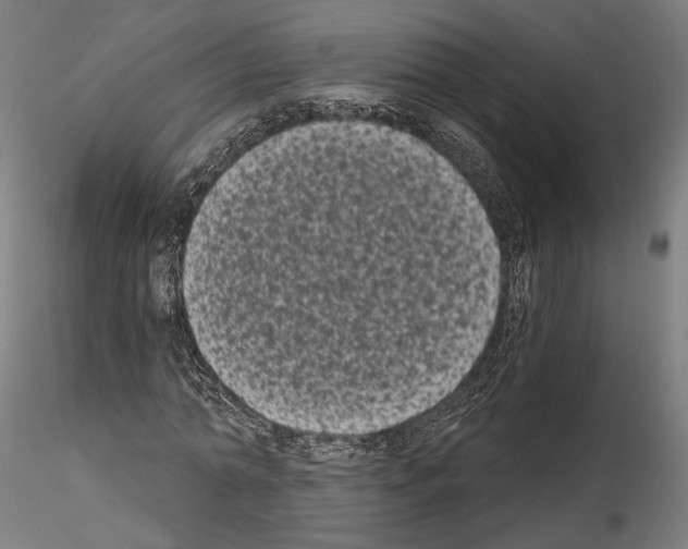 X0000114520774200911301115