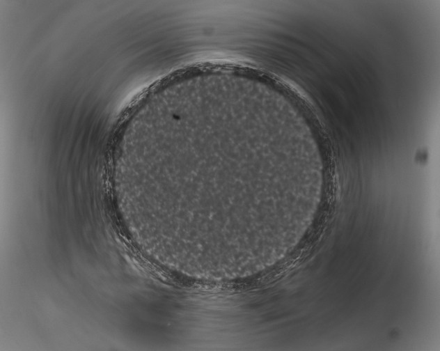 X0000114520775200911301115