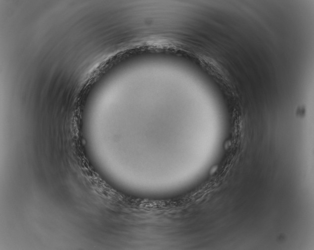 X0000114520776200911301115