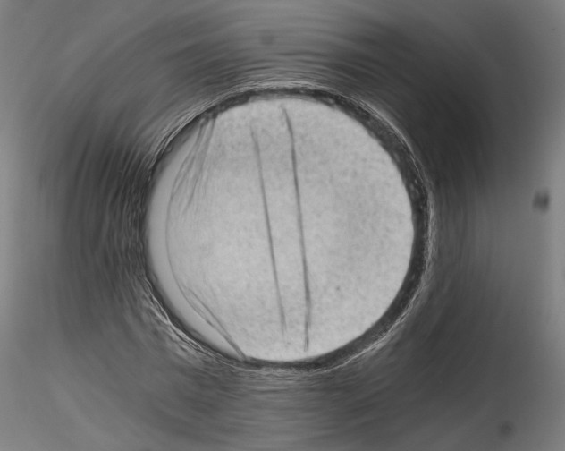 X0000114520777200911301115