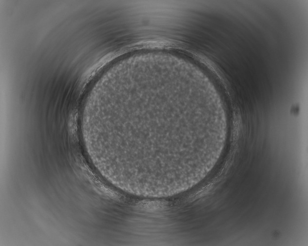 X0000114520778200911301115