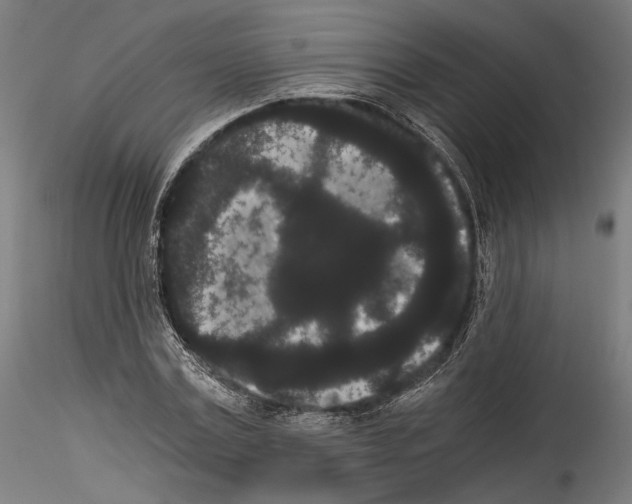 X0000114520779200911301115