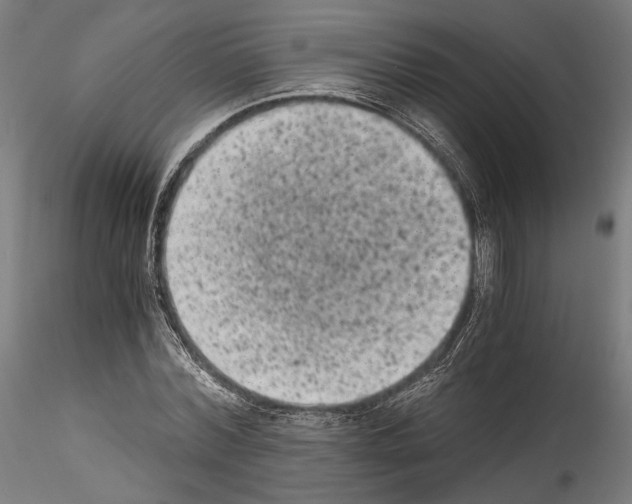 X0000114520780200911301115