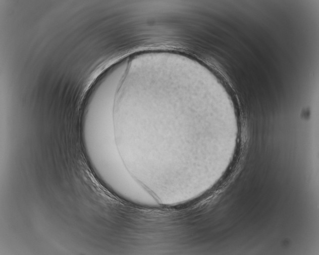 X0000114520781200911301115