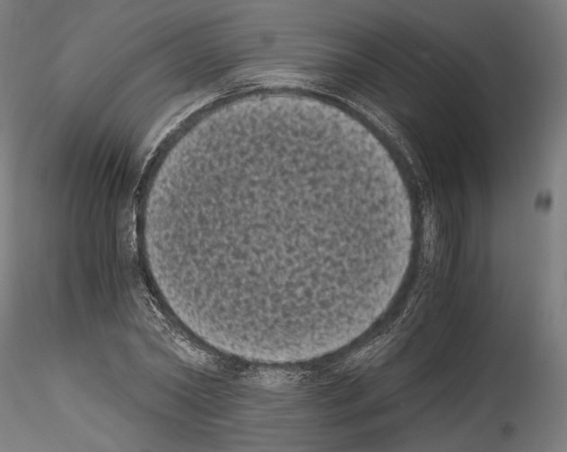 X0000114520782200911301115