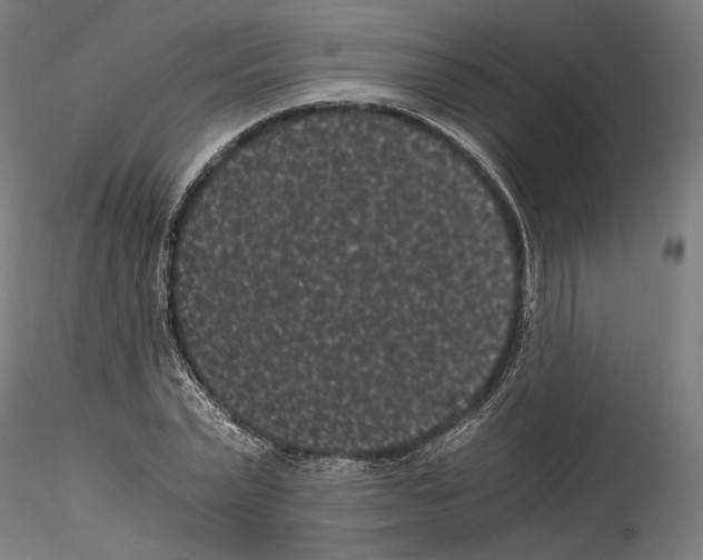 X0000114520783200911301115