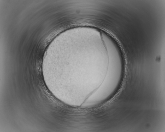 X0000114520785200911301115