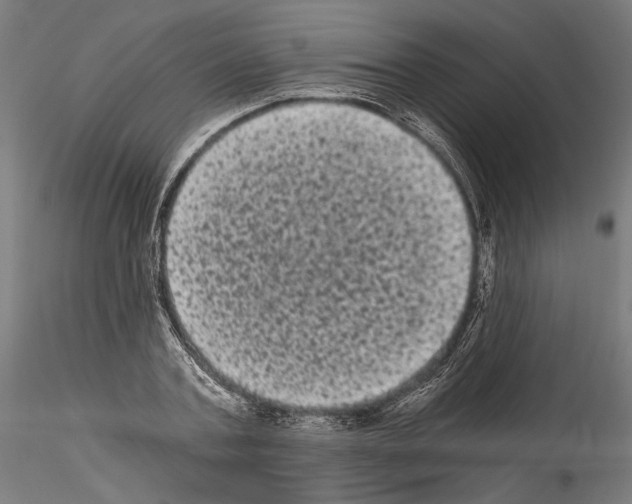 X0000114520787200911301115