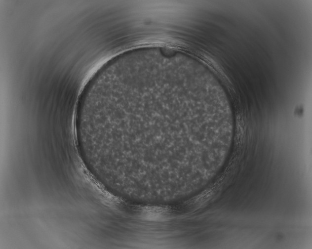 X0000114520788200911301115