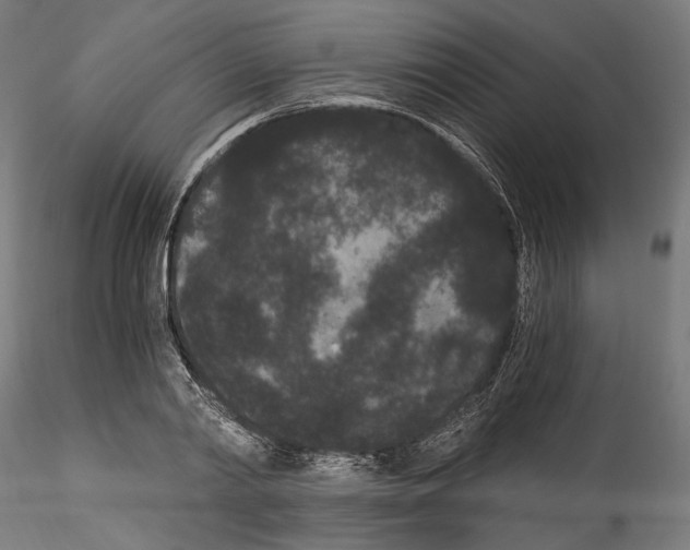 X0000114520790200911301115