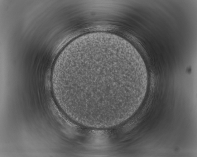 X0000114520794200911301115