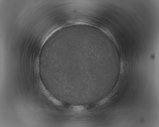 X0000114520798200911301115