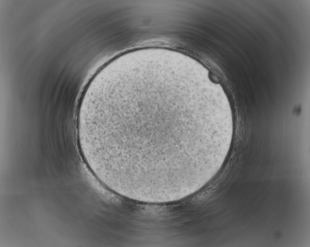 X0000114520800200911301115