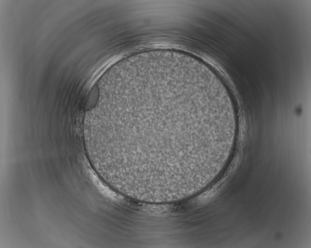 X0000114520801200911301115