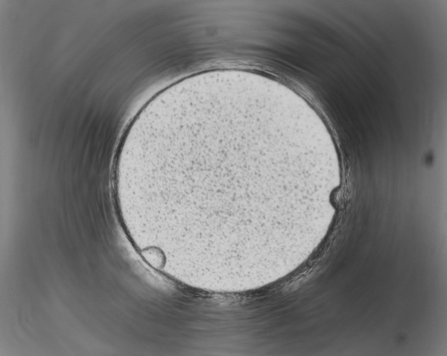 X0000114520803200911301115