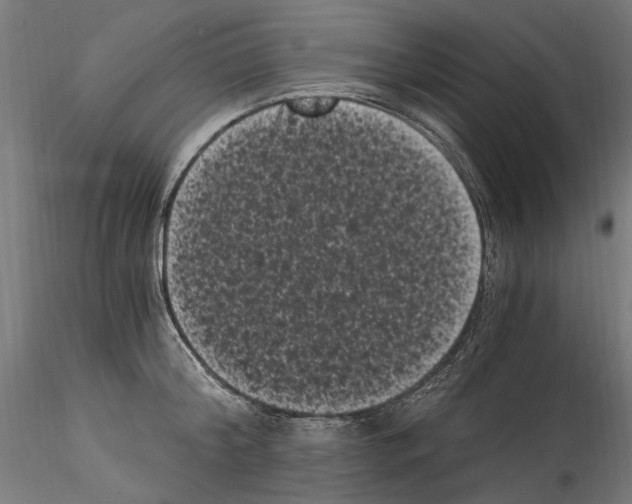 X0000114520804200911301115