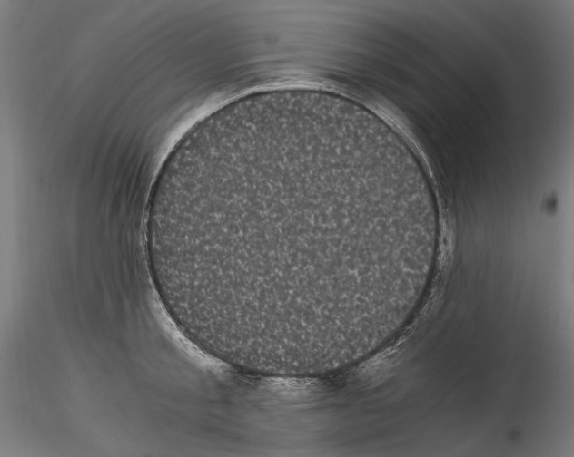 X0000114520805200911301115