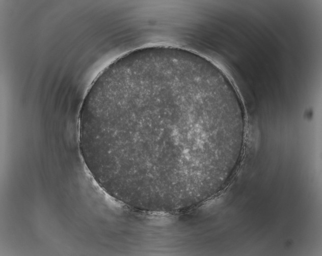 X0000114520807200911301115