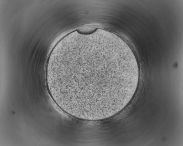 X0000114520808200911301115