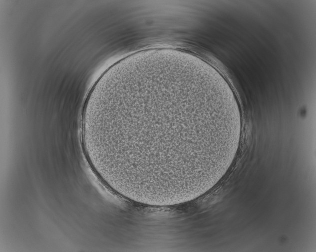 X0000114520811200911301115